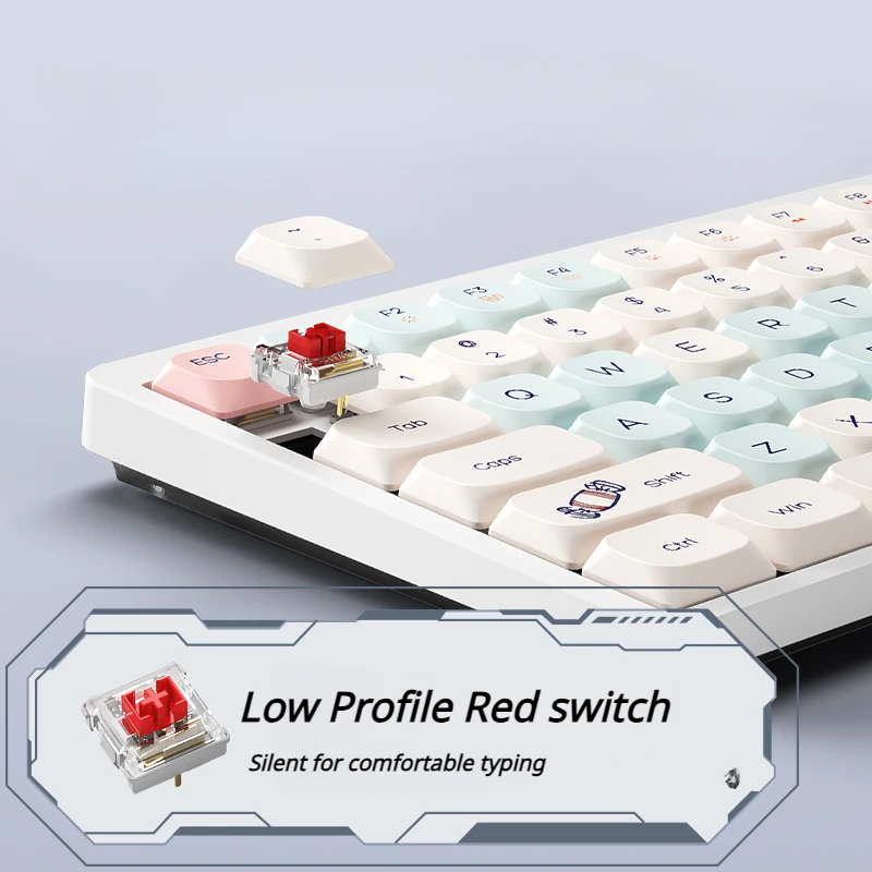 ECHOME Low Profile Mechanical Keyboard Bluetooth Wireless Triple Mode RGB Hot Swap Low Switch for Office Mute Ipad Table Laptops