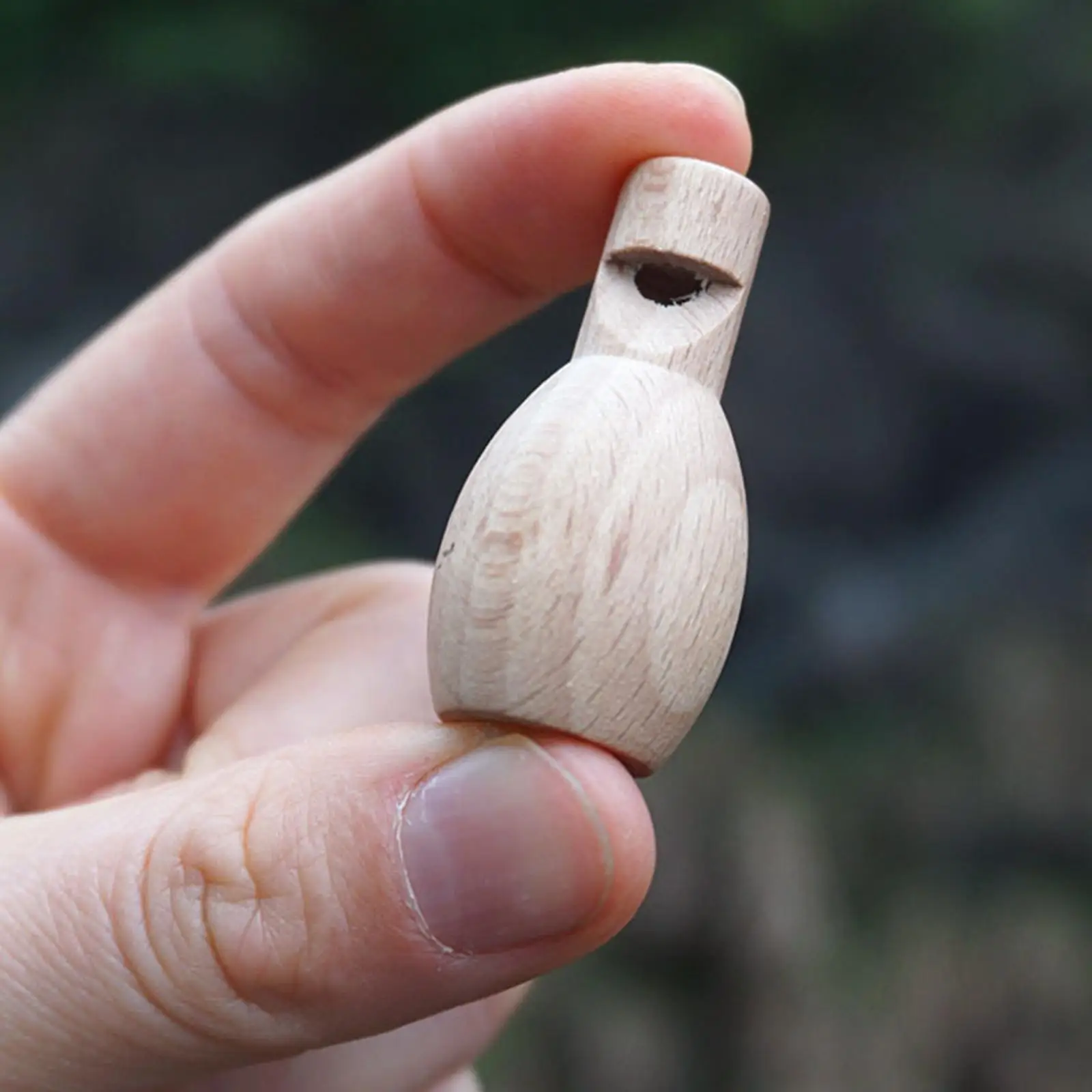 어린이용 목재 호루라기, 인지 학습 활동, 공예 소리 호루라기, 2-6 팩