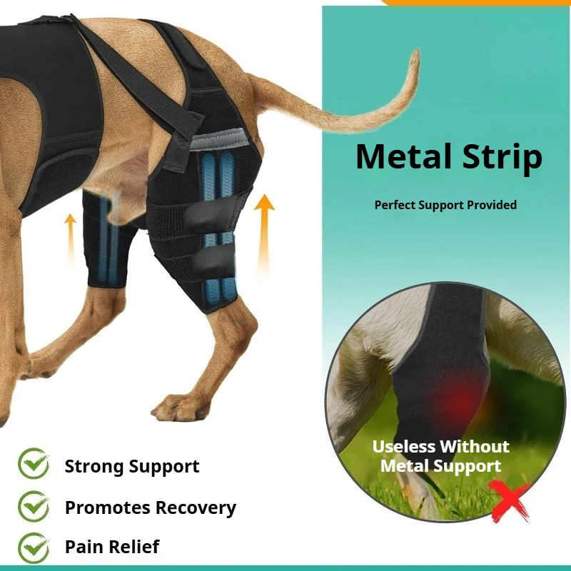 Dog Hind Leg Brace Hip Support Harness Rear Leg Knee Brace Adjustable Recovery Support for Arthritis Injury ACL CCL Large Dogs