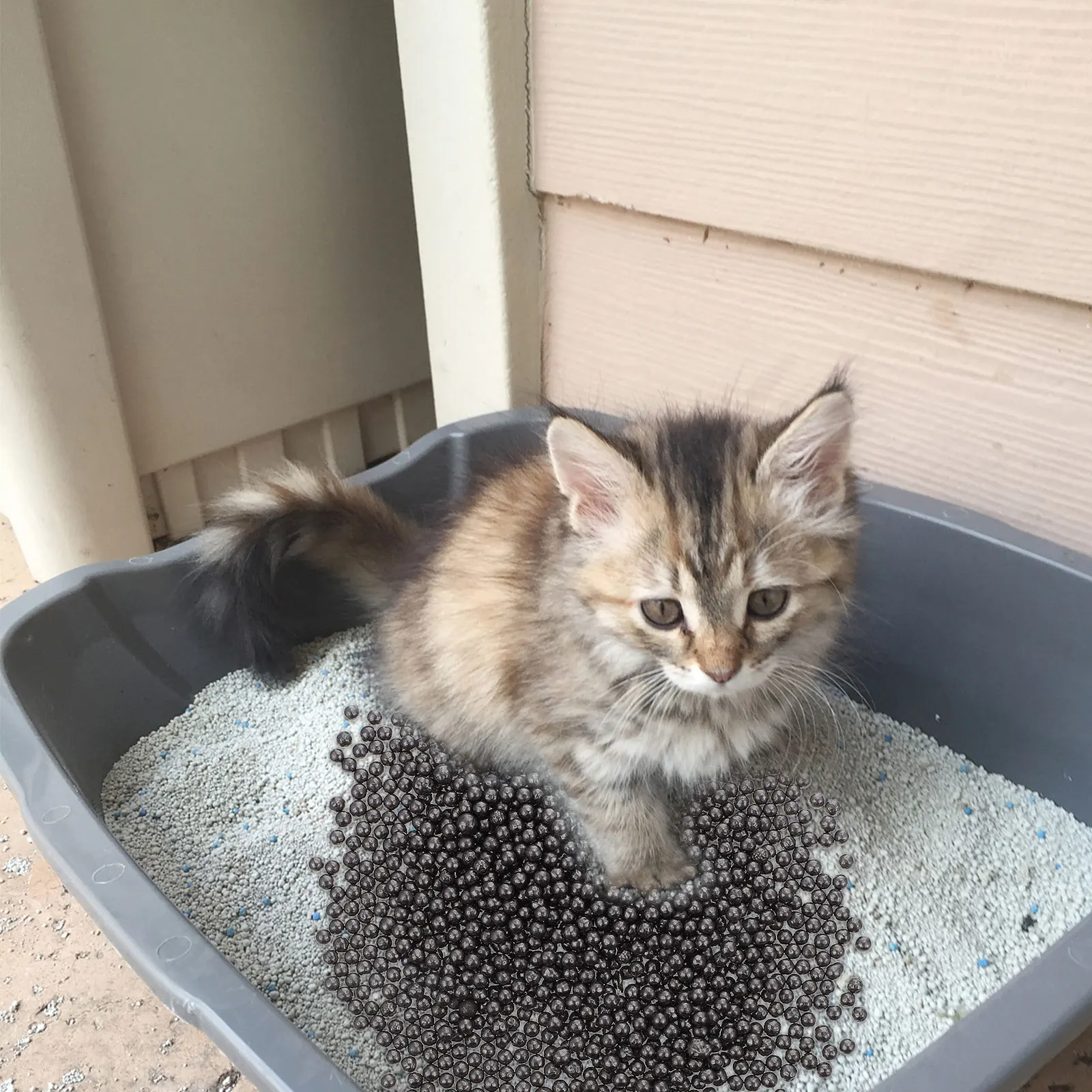 

Deodorizer Beads For Pet Litter Box Bathroom Garbage Odor Remover Cat Cleaning Supplies Litter Odor Remover Pet