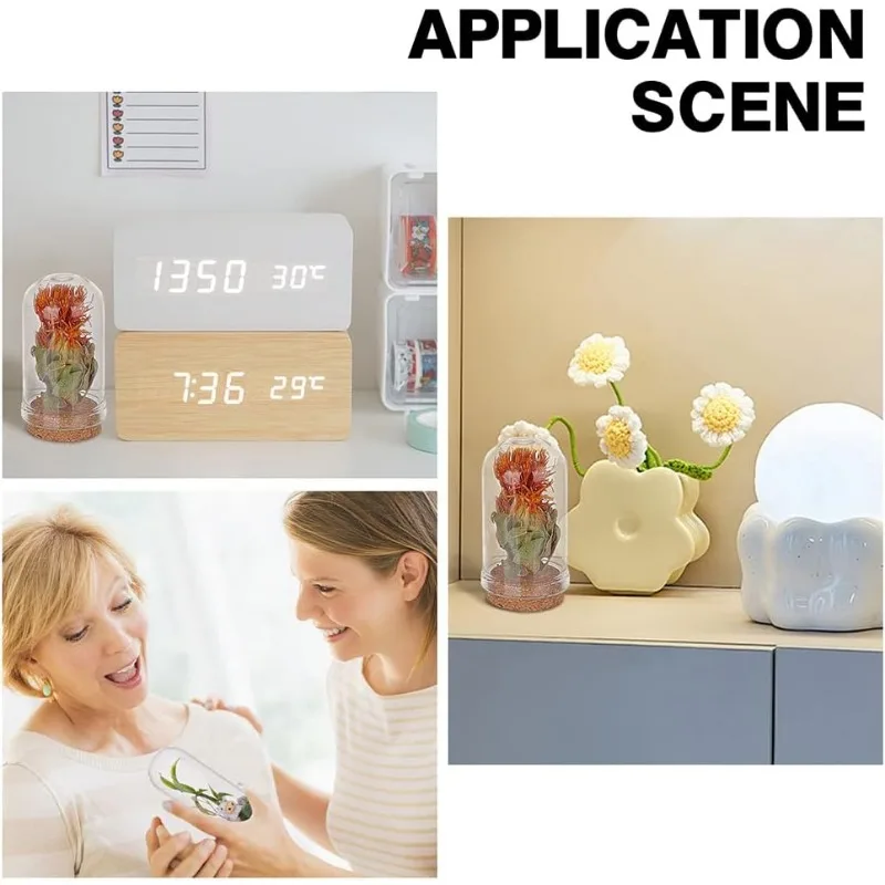 12pcs Glass Display Dome Cloche 3 Size Glass Bell Jar with Cork Base Glass Bottles Dome Decorative Jars Display Case for Flower