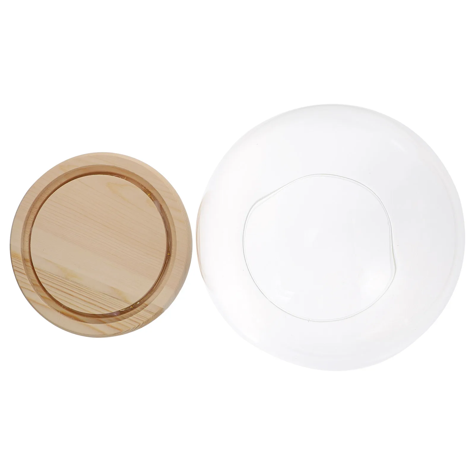 

Display Stands for Ornaments Glass Cover Decorations Adornment Succulent Plants Dome Transparent