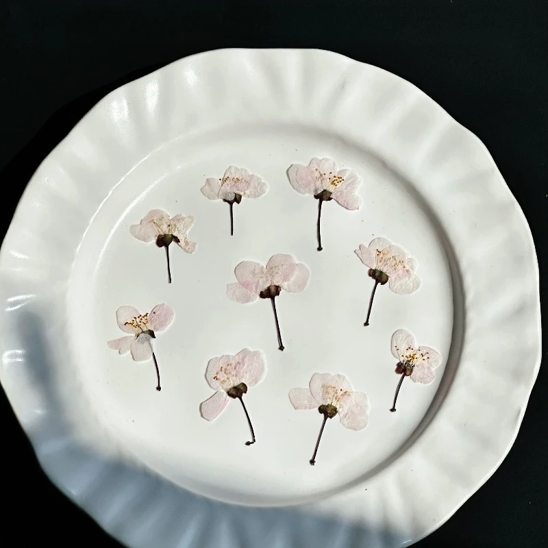 24 Stück, Natürliche Wilde Kirschblüten, Gepresste Blumen, Echte Getrocknete Blüten für DIY Epoxidharz-Handwerk, Lesezeichen, Kinder-Bastelmaterialien – Detail 1