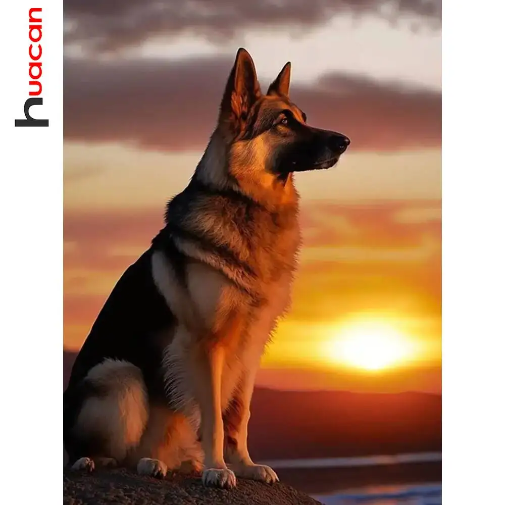 Huacan Diamant-Mosaik, Hund, Tier, Sonnenuntergang, Landschaft, komplett, rund, quadratisch, DIY, Diamant-Malerei, Kunst, Zuhause, Schlafzimmer, Wandkunst