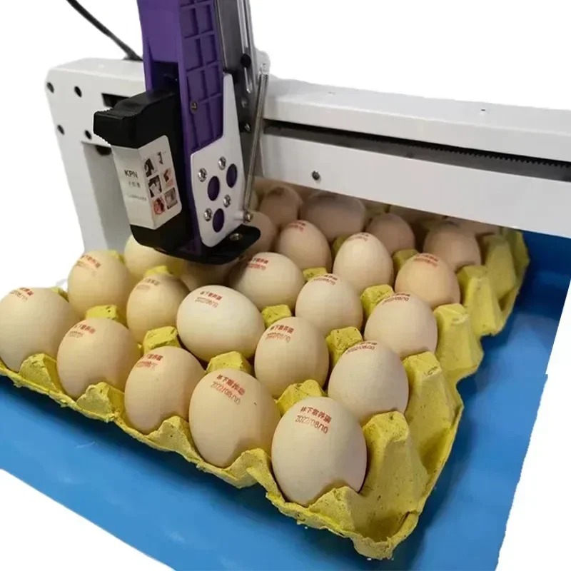 

Printer for Egg Machines for Small Businesses Egg Date Machine Egg Date Printer