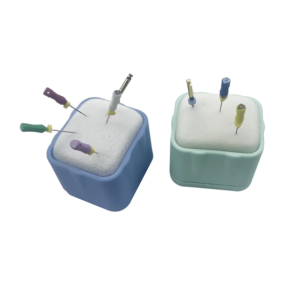 Support de lime endodontique dentaire autoclavable, support de nuit propre, livres de canal radiculaire, outil avec éponge, dents de dentiste