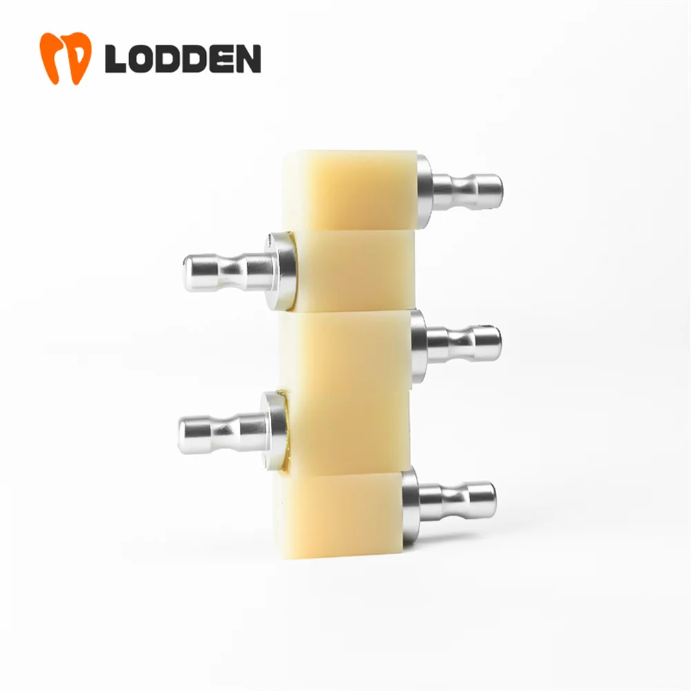 LODDEN 1 Box B40 Dental Materials PMMA Blocks C14 Dentistry Supplies Resin for CAD/CAM Sirona CEREC Dentist Tools Colors VITA16