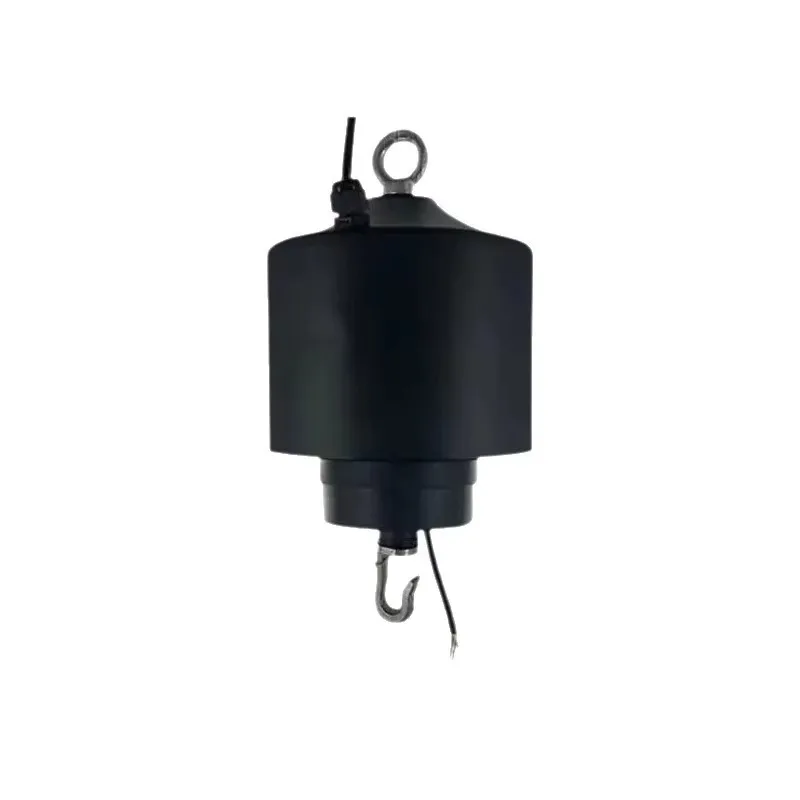 Light Lifter 10M Lifting Height 20Kg Load, Commercial Lighting Electric Lifting System 110V/220V