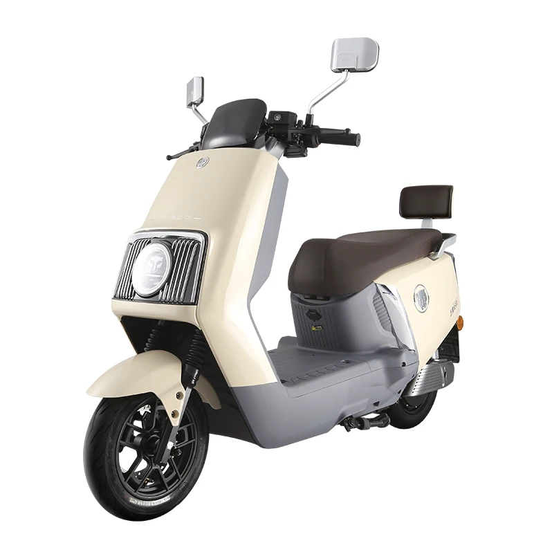 

High Speed 105N.m Electric Motorcycle 1.2kw with Backrest