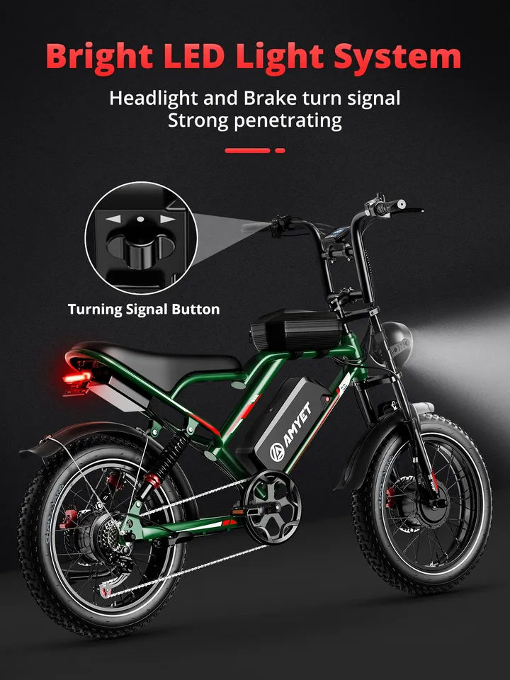 Electric Bike 48V 2000W 25AH AWD Dual Motor Dual Suspension 20" Ebike E image 5