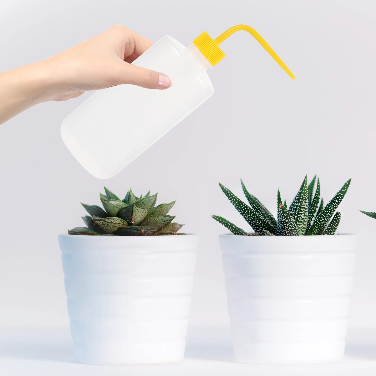 

2pcs Curved Mouth Squeeze Bottles Plastic Wash Tattoo Watering Leak Proof Easy Clean Household Gardening