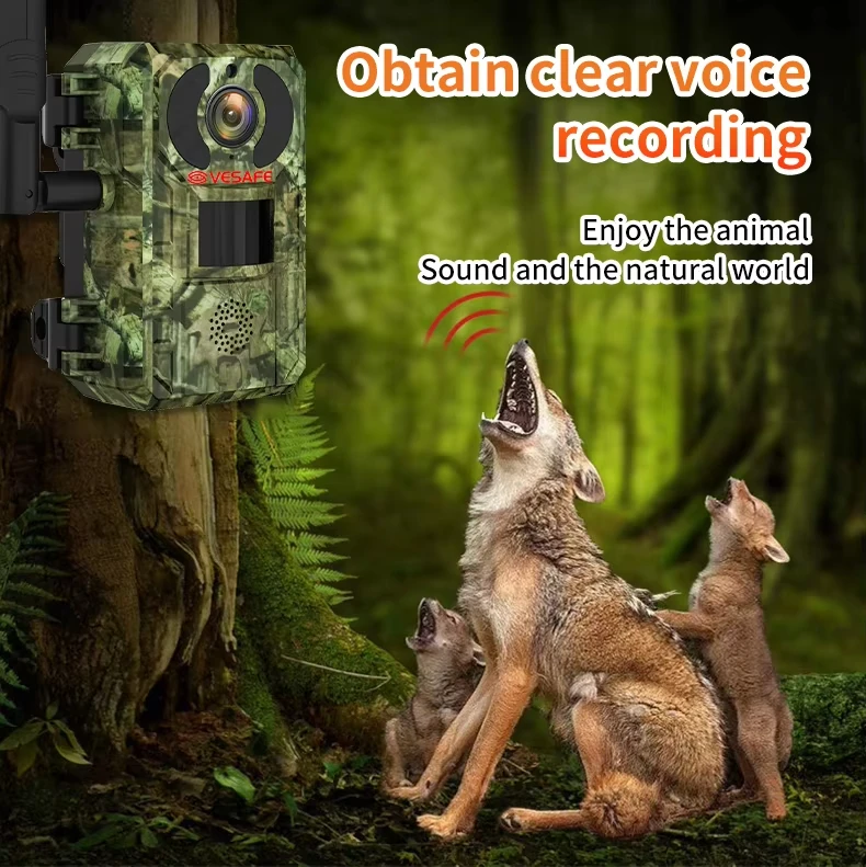 2K 4MP HD الشمسية الحياة البرية كاميرا تعقب للرؤية الليلية 4G 4 واط مقاوم للماء الأبيض فلاش فيديو سحابة بطاقة SD إبقاء الحرس صيد الحيوانات