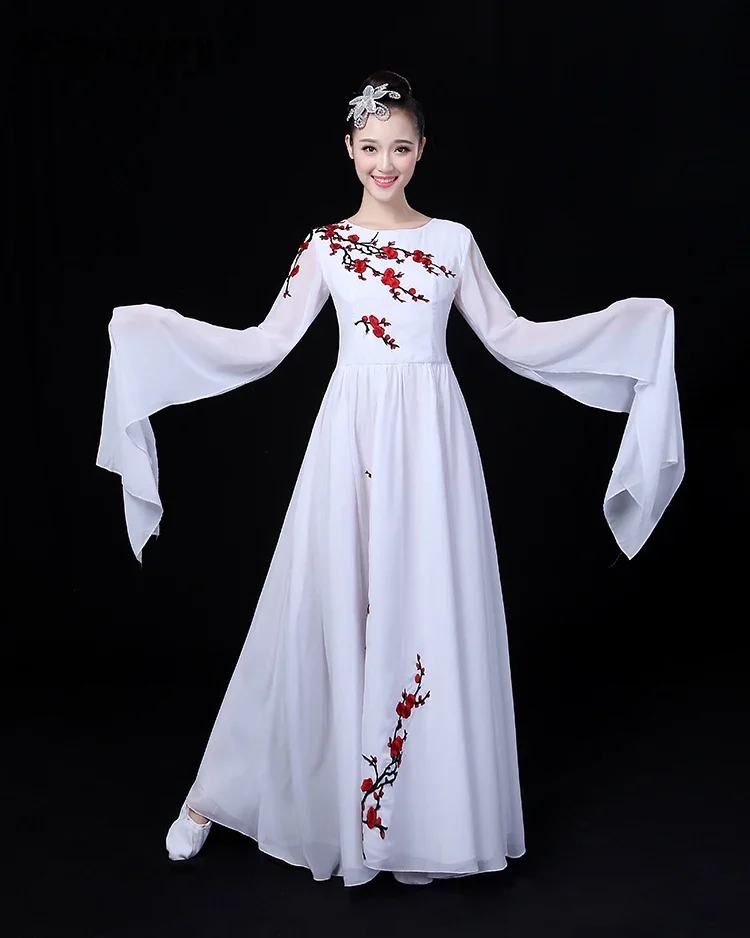 Chorus dress costume guzheng Erhu folk music new adult female water sleeves big swing skirt dance costume