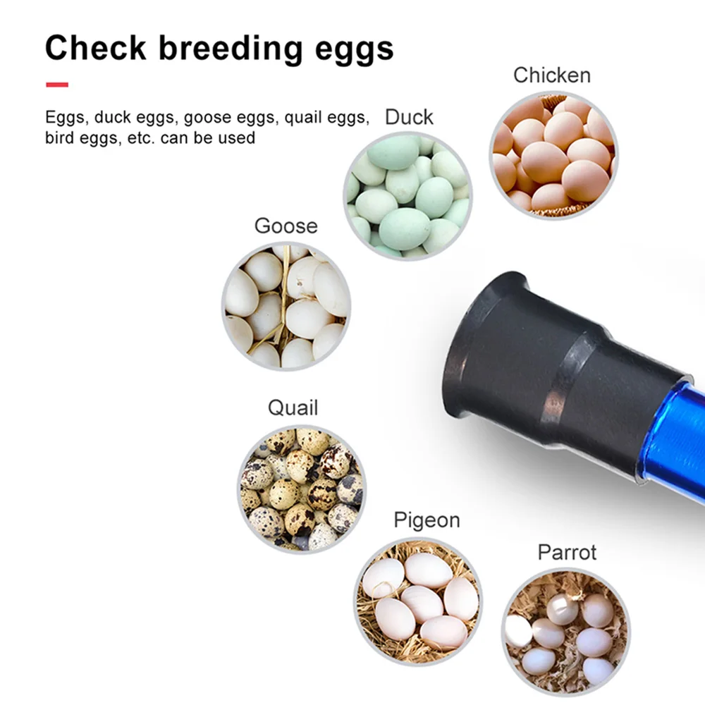 1 sztuk LED Egg Tester światła jajko Candling lampa Super zimny sprzęt inkubacji kurczaka narzędzie wykrywacz jaj wylęgowych z latarką