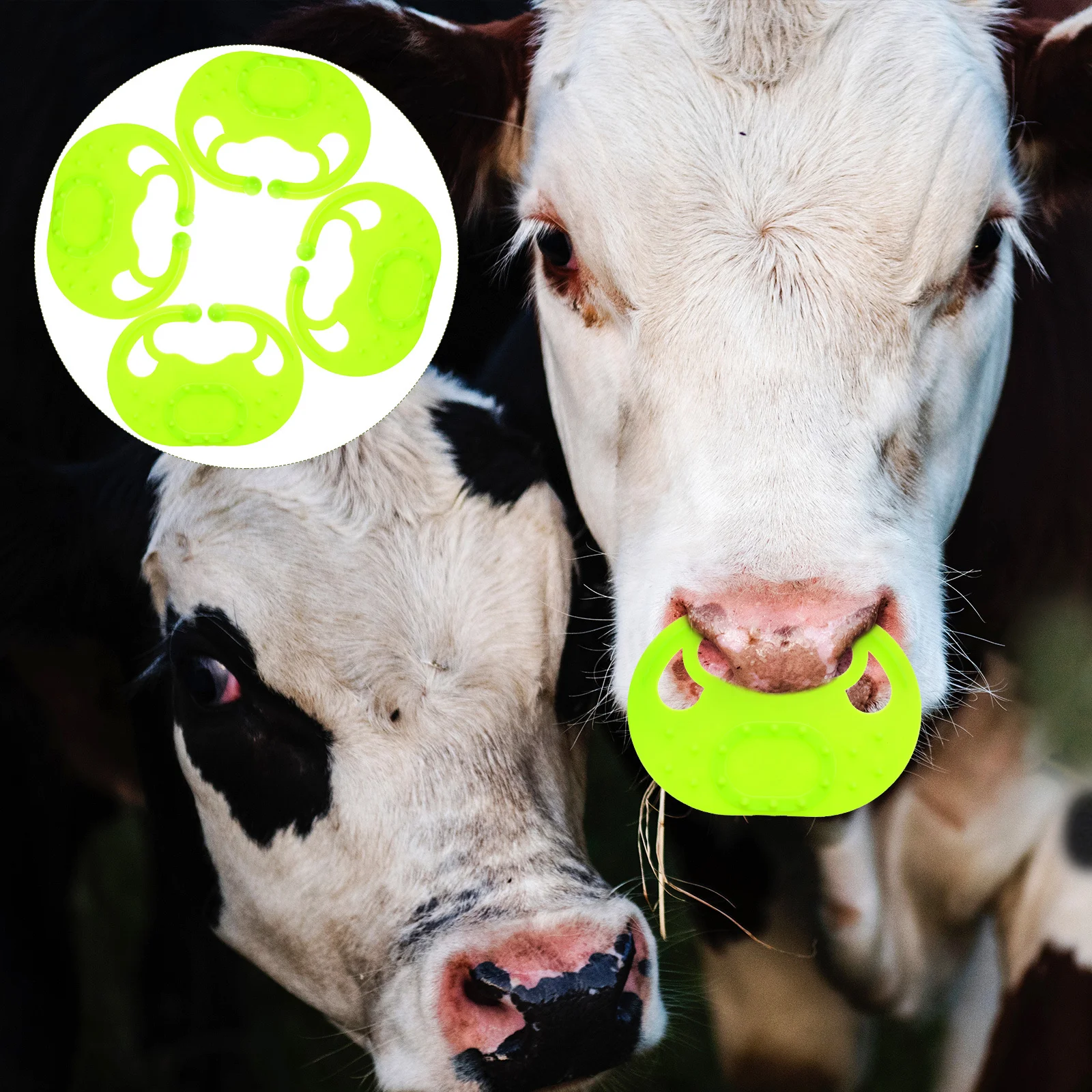 

4Pcs Calf Weaner Durable Cattle Nose Clip Essential Farm Tool High Performance Easy Use Cattle Supplies Calf Weaner