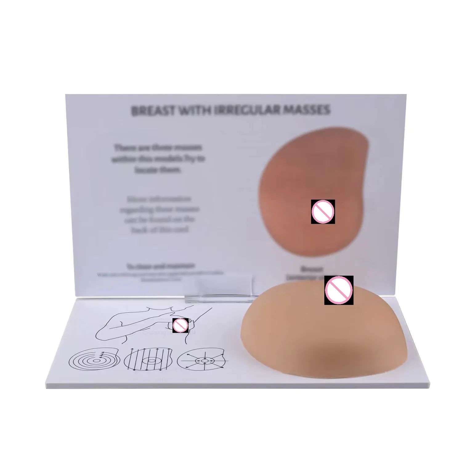 Ultrassist Female Breast Self Exam(BSE) Simulator Model with Education Card 3 Embedded Irregular Masses for Health Education