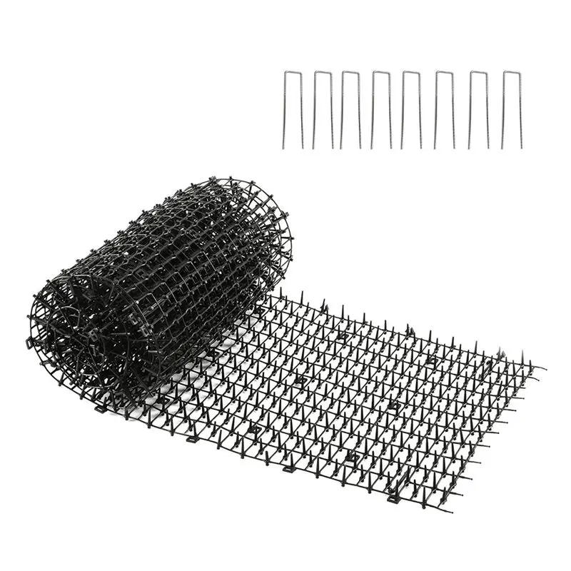 Aug. Cat Prickle Ma…