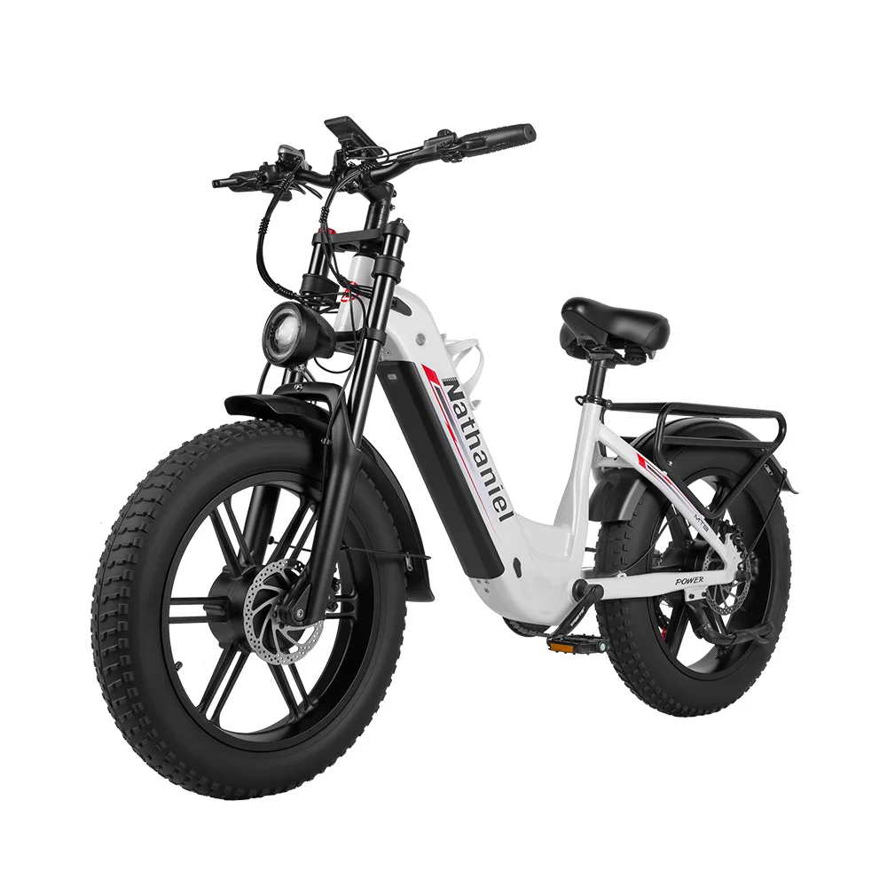 Nathaniel SYR08 Electric Bicycle 2000W Motor 48V 40Ah Battery electric bike 50km/h 20 Inch Tire off road riding mountian E-Bike image 4