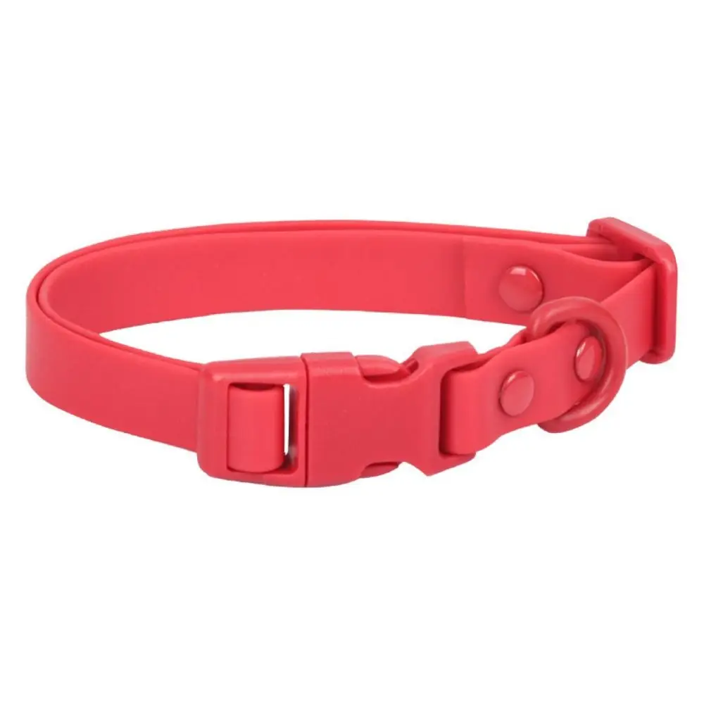 

Elastic Webbing Pet Collar Pet Identification Adjustable Waterproof Dog Collar No Pull Comfortable Safety Buckle Chain Walking