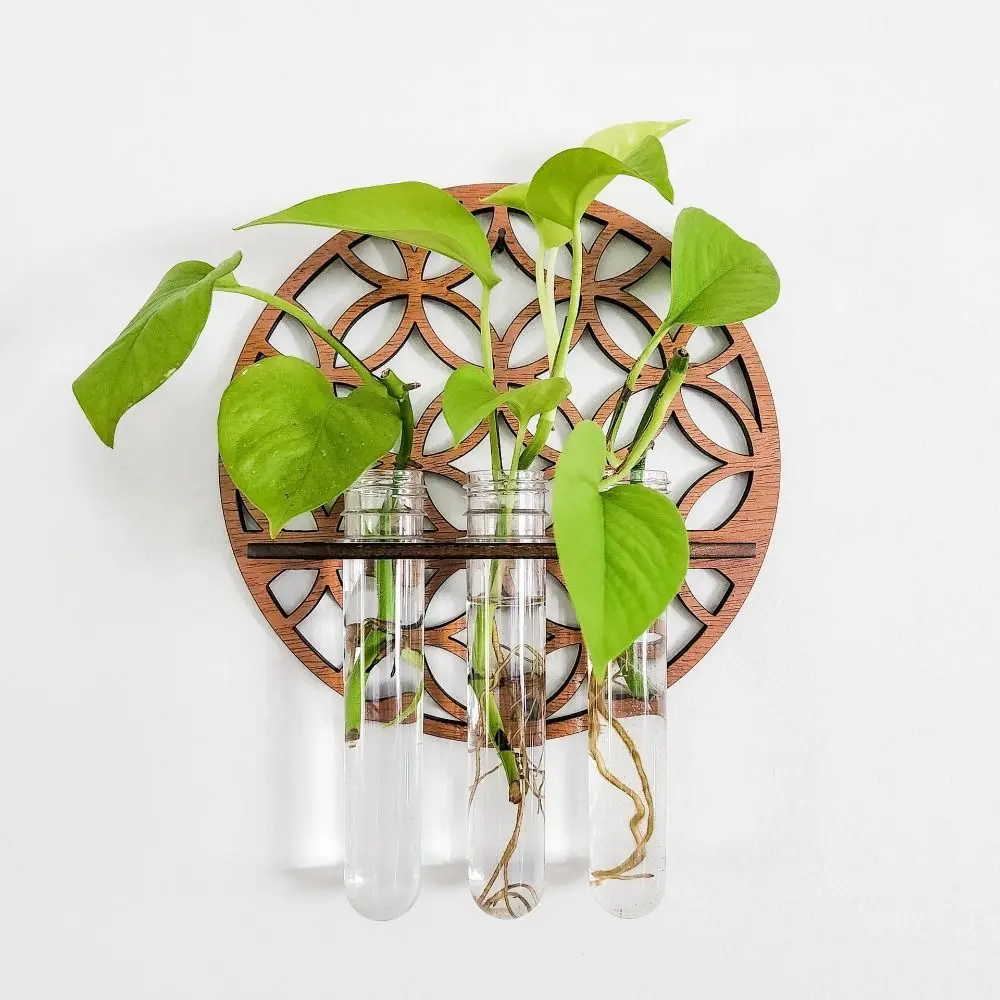 Minimalist Style Wall Mounted Plant Holder Plastic Tube Space Saving Hydroponic Plant Holder Green Plant Display Rack