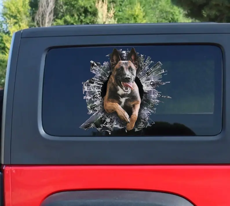 Malois Calcomanía para ventana de perro, pegatina para coche malois belga, calcomanía para coche de Mascota