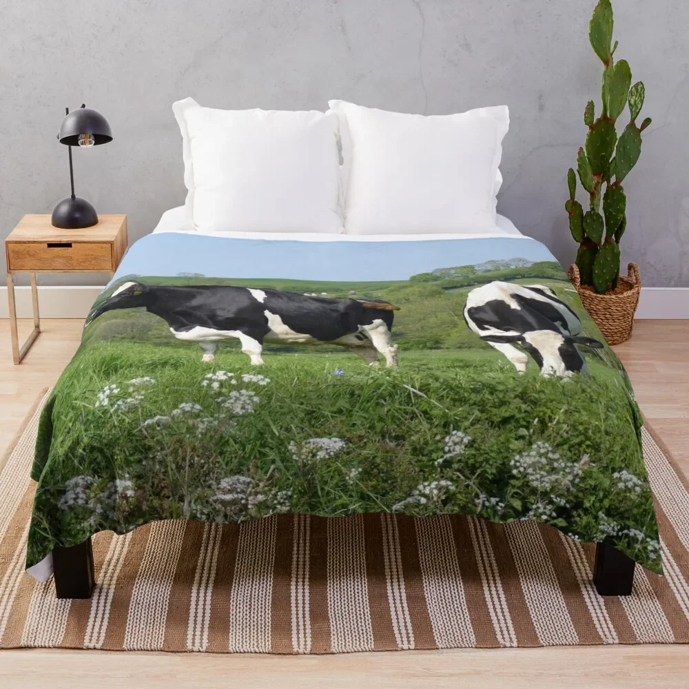 Dairy Cows Grazing Throw Blanket Halloween Christmas Decoration Warm Blankets Sofas Of Decoration Blankets