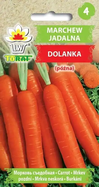 Carrots Dolanka carrot seeds of vegetables 5G TORAF