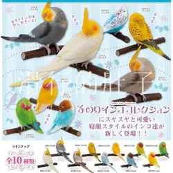 SHINE-G Japan Gashapon Figure Cute Kawaii Goodnight Parrot Bird Miniature Figurine Anime Gachapon Capsule Toys Desktop Decor