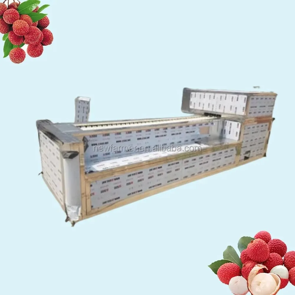 Professional Lychee Pitting Machine Efficient Core Removing Tool for Commercial Use Durable Fruit Processing Equipment