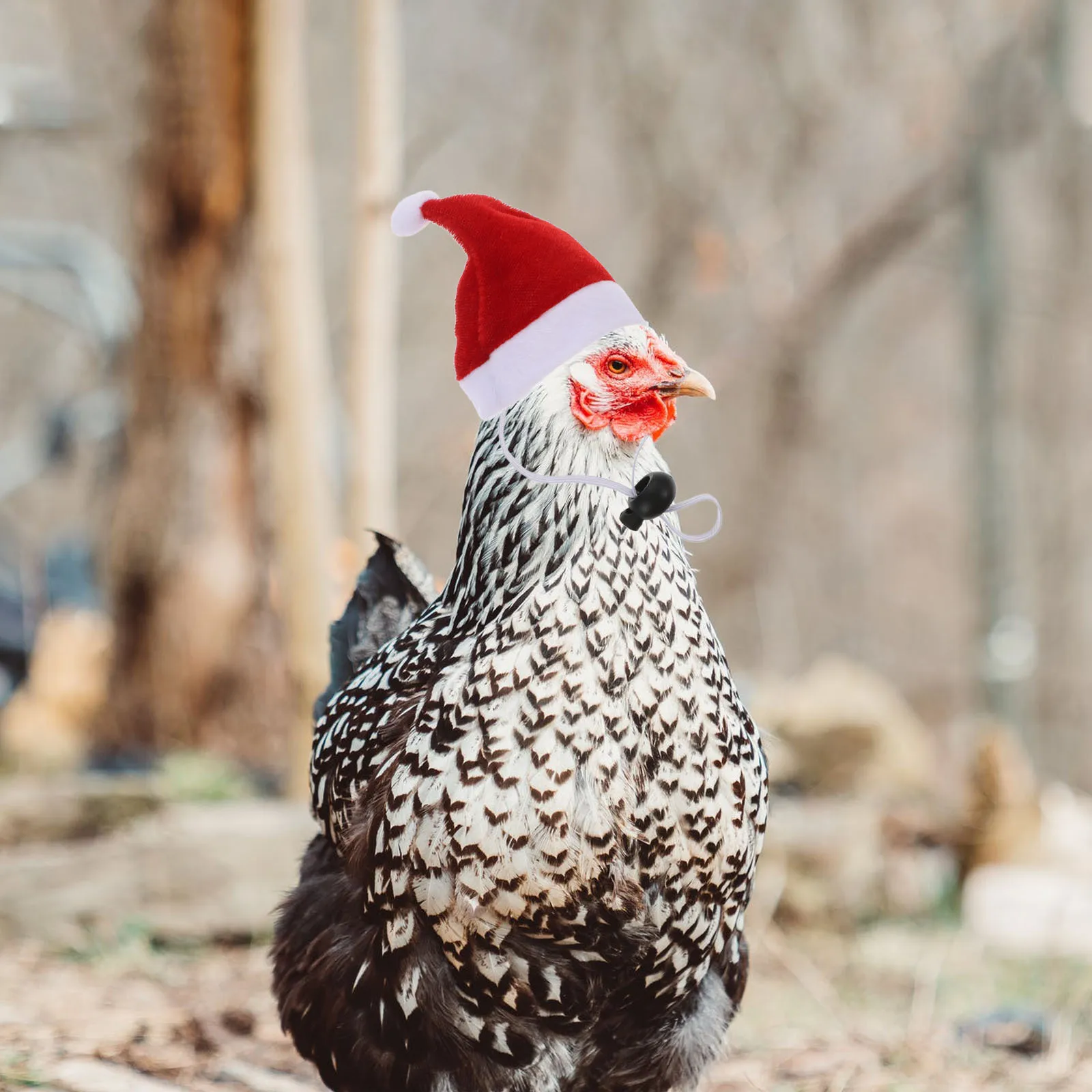 

6Sets Pet Christmas Hat Elastic Colored Scarf Durable Xmas Dress-Up Costume for Chicken Duck Party Pet Christmas Hat