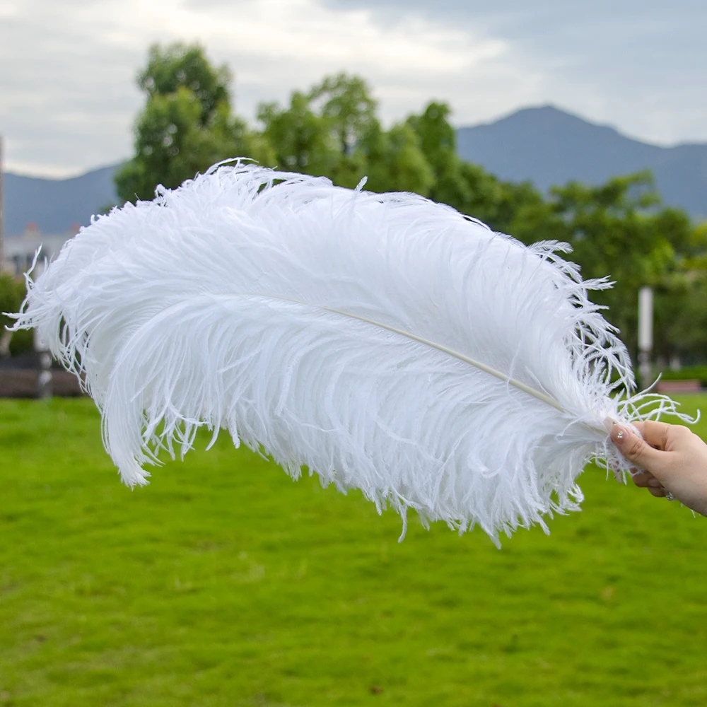 10Pcs White Ostrich Feathers for Crafts Home Party Wedding Decor Natural 15-55cm Ostrich Plumes Table Centerpiece Decoration