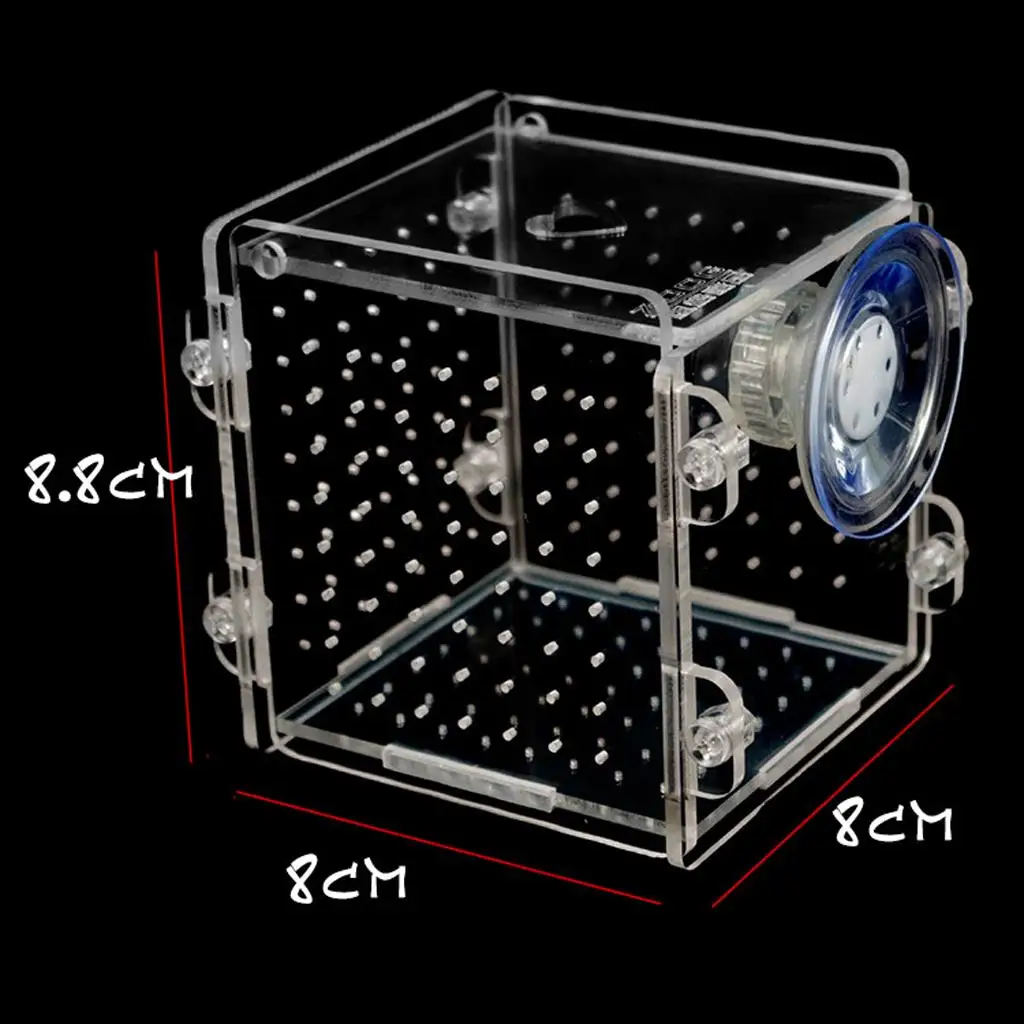 Acrylic White Breeder Isolation Divider Hatching Boxes Accessory for Small Baby Fishes Shrimp Clownfish Guppy