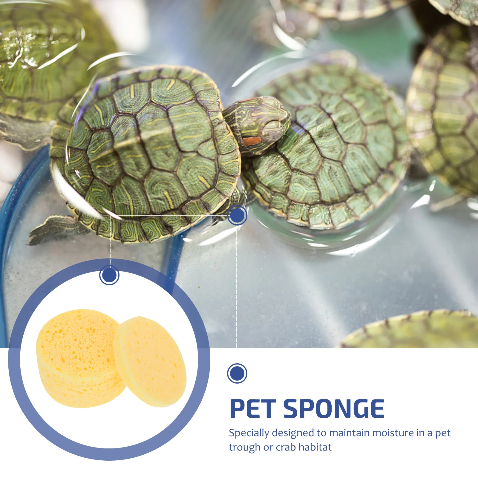 

25Pcs Humidity Keeping Sponges for Pet Crab Sponges Natural Unbleached Material Fish Tank Supplies Water Dish Humidity
