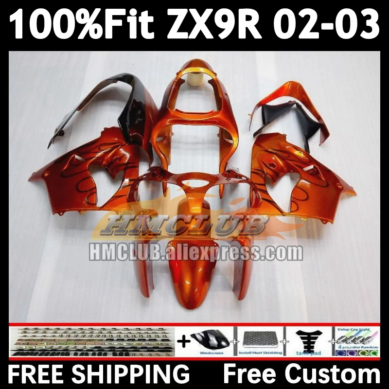 Injection Body For KAWASAKI NINJA ZX 900 9R 9 R 2002 2003 166No.13 ZX900 ZX-9R ZX9 orange black R 900CC ZX9R 02 03 OEM Fairings