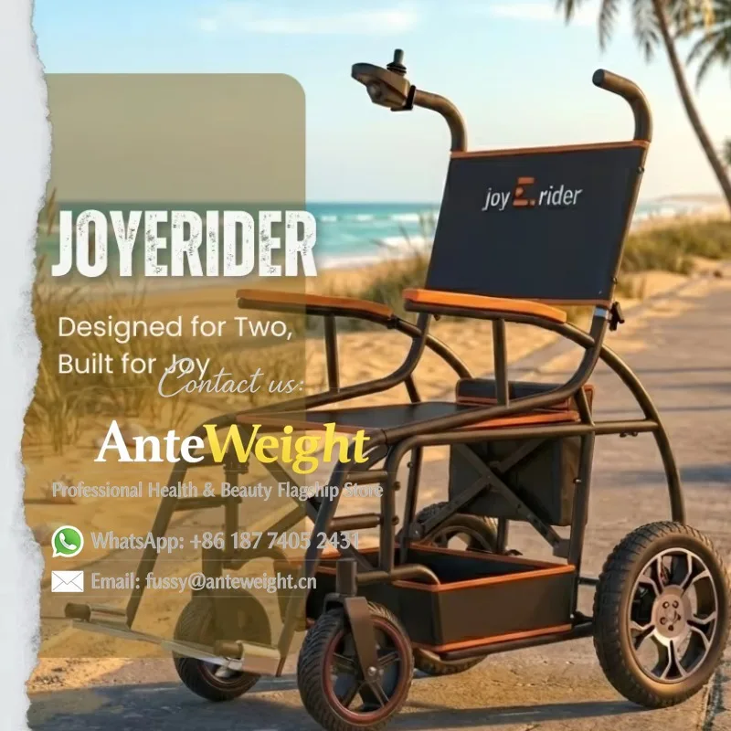 Two People Electric Wheels Open Body Mobility Scooter & Power Wheelchair100-200kg Payload for Elder