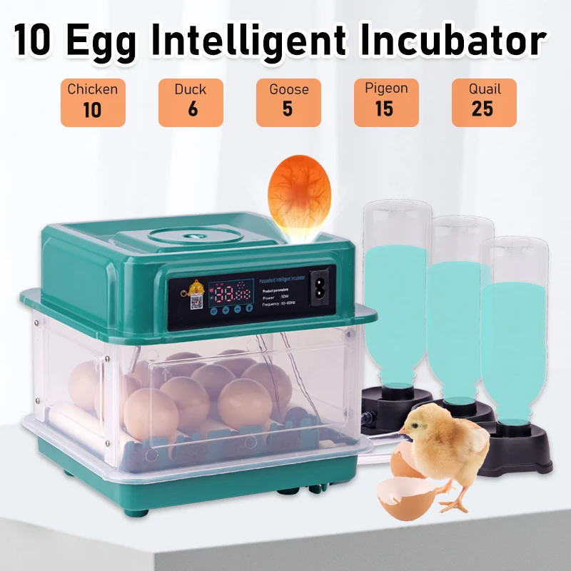 3 in 1 Professional Smart Egg Fully Automatic Incubator 10Eggs Auto Rolling Temperature Humidity Control LED Lights Chicken Bird