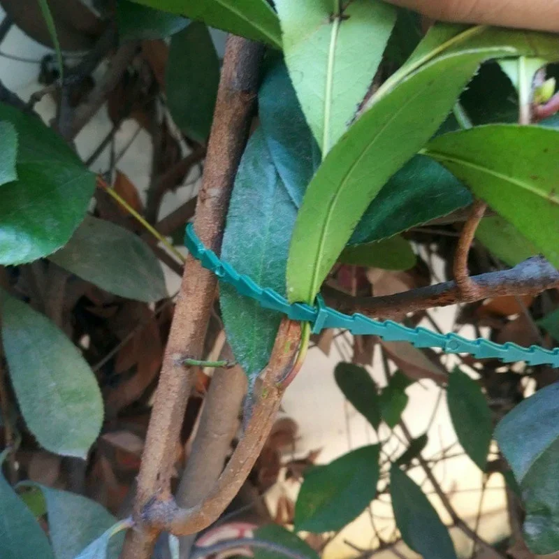 Fascette per cavi riutilizzabili in plastica regolabili da 50 pezzi Fascette per cavi riutilizzabili per albero da giardino Supporto per arrampicata Pianta Vite Clip per stelo di pomodoro