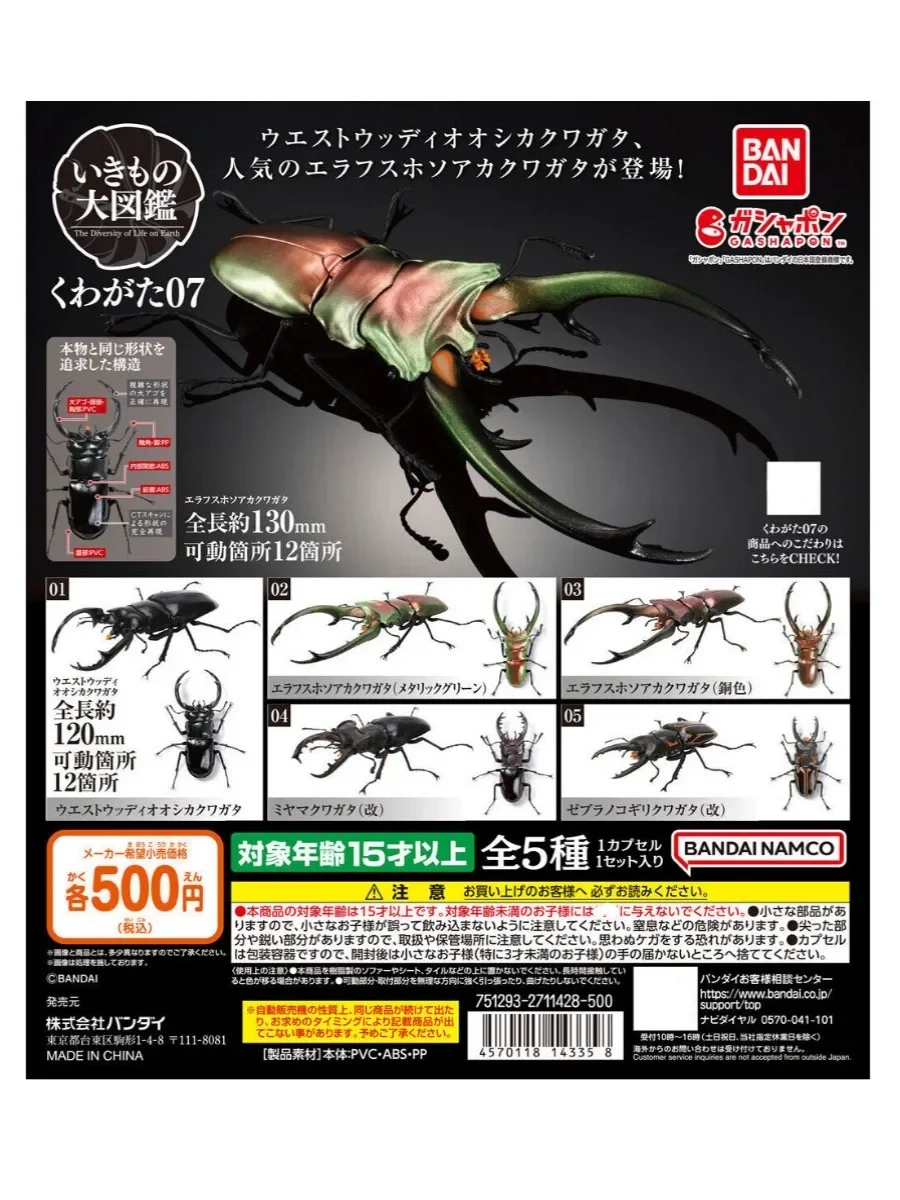 

Biographical Analysis of Deer Antler Beetle and Claw Shaped Insect 07 Beetle Gacha Simulation Animal Movable Joints Figure Toys