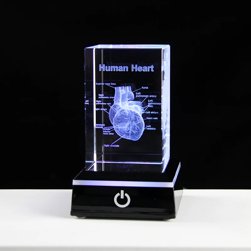 3D Laser Engraving Crystal Heart Model Intracardial Surgery Teaching Props Doctor Gift Hospital Paperweight Human Organs Decor