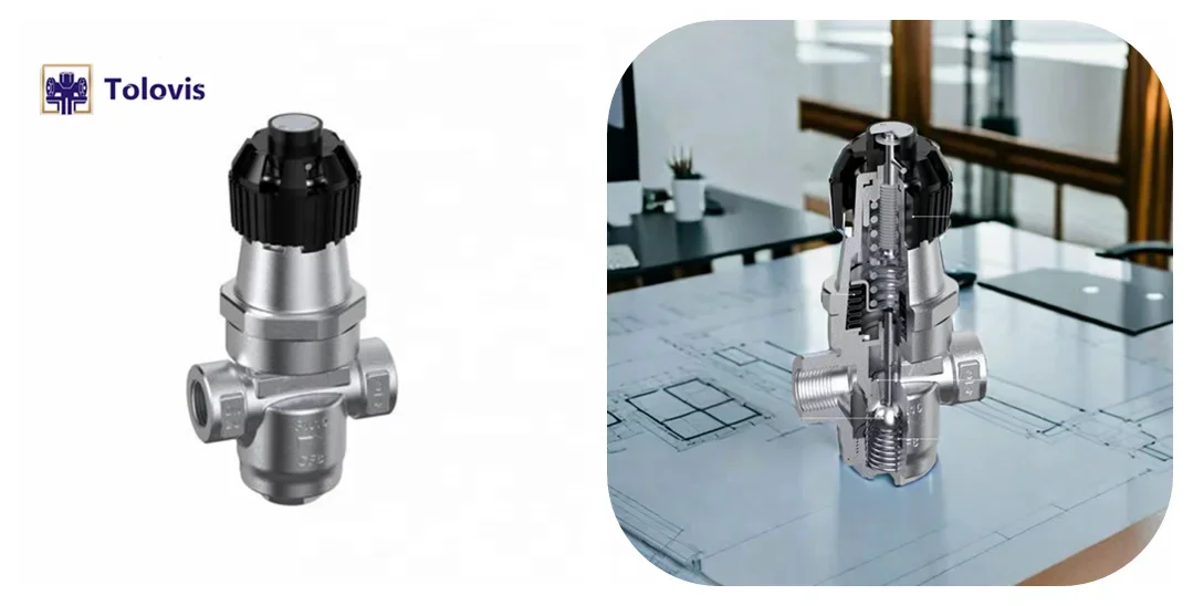 Trovis durable TSBRV Direct acting steam reducing valve Bellows pressure reducing valve Steam water pressure BSPT NPT thread