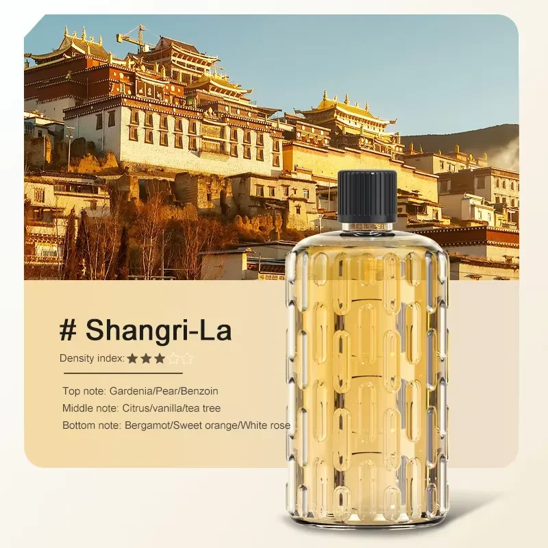 Diffuseur d'arôme, humidificateur, huile essentielle, Machine d'aromathérapie, désodorisant, hôtel, 