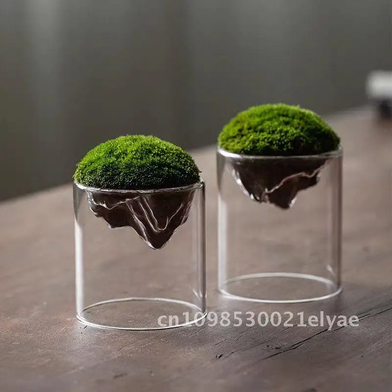 

Moss Bottle Mountain View Micro Landscape Ecological Bottle Hydroponic Plant Bottle Glass Immortal Flower Ornament Without Moss