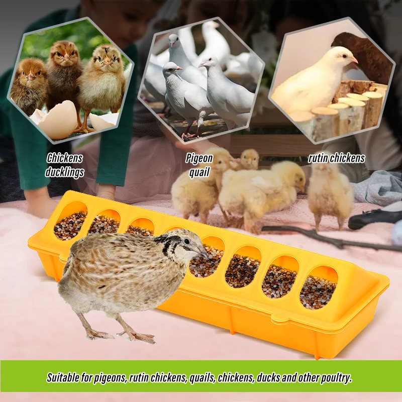 30cm Chick Bird Feeder Trough Pigeon Feeding Ground Pheasant feeding bucket Chick Plastic Flip-Top Chicken farming tool