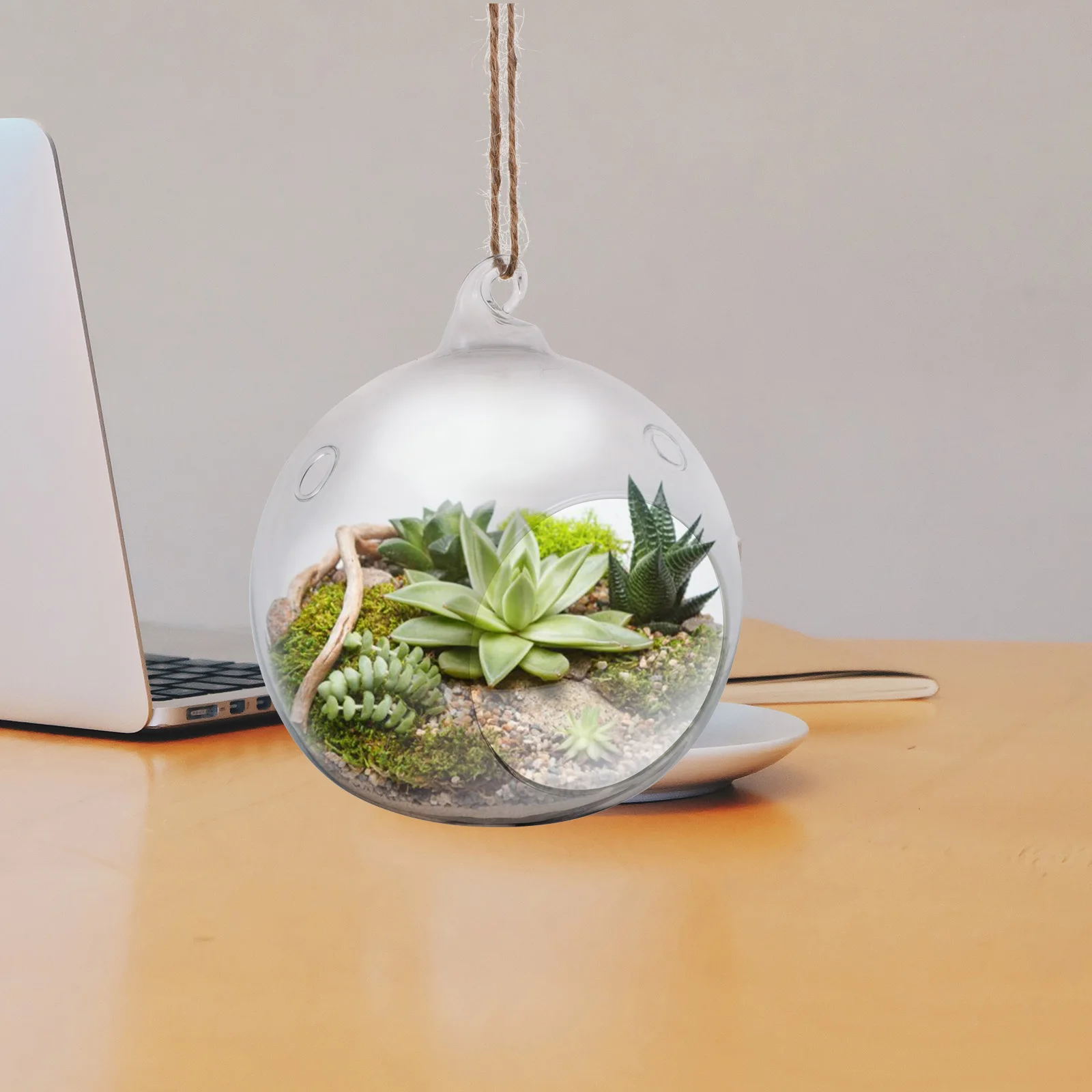 

2Pcs Transparent Glass Globe Terrarium Air Plant Holder Durable Water-Saving Home Garden Office Patio Decoration
