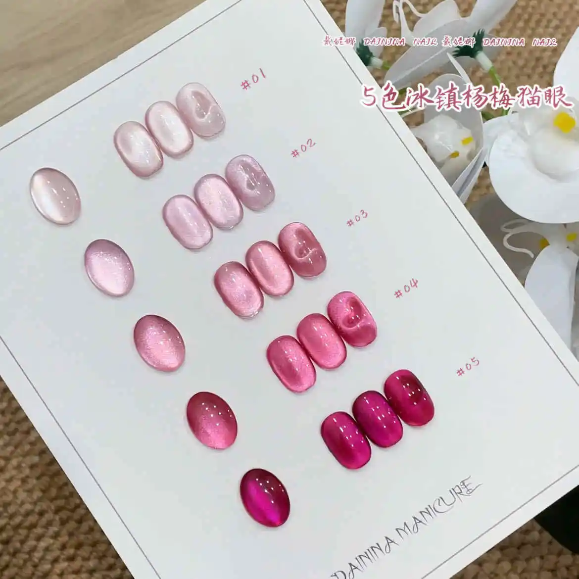 DAININA High Quality 5 Colors Moonlight Cat Eye UV Gel Nail Set for Salon Use Non-toxic UV LED Curing Lamp Compatible view 2