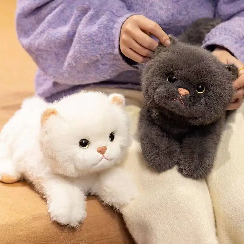 

Новейшая реалистичная лечебная положения, британская кукла Shorthair, кавайная мягкая плюшевая игрушка, милый подарок для детей с героями мультфильмов аниме