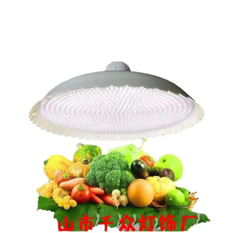 Luce fresca Spettro completo Mercato Supermercato Stalla di carne Luce bianca Spettro completo Luce di carne fresca