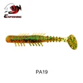 PA19