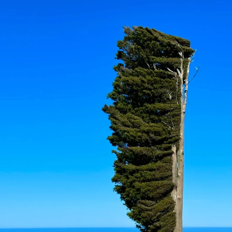 

GEPRC MATEN 5.8G 3W VTX Pro - 80CH 7 - 36V 3000mW IRC Tramp FPV RC Transmitter