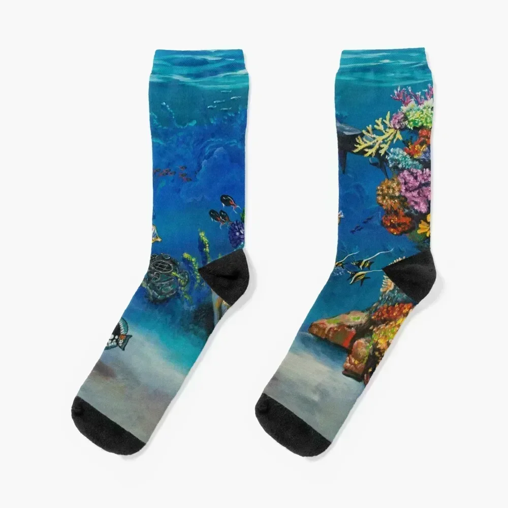 

Носки Coral Reef, рождественские чулки в стиле хип-хоп, носки с подогревом, прозрачные носки для девочек и мужчин